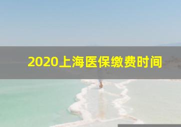 2020上海医保缴费时间