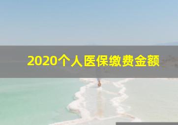 2020个人医保缴费金额