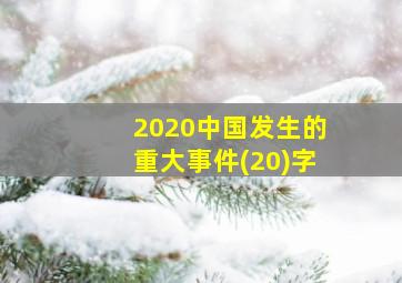 2020中国发生的重大事件(20)字