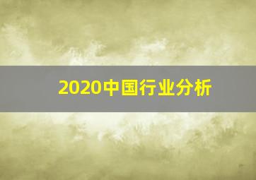 2020中国行业分析