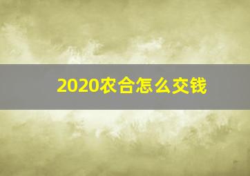 2020农合怎么交钱