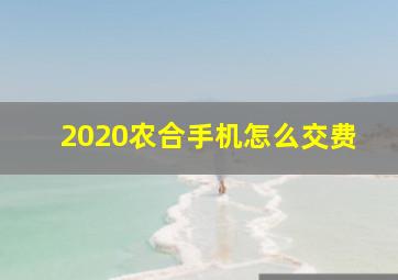 2020农合手机怎么交费