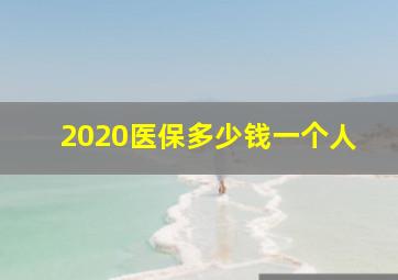 2020医保多少钱一个人