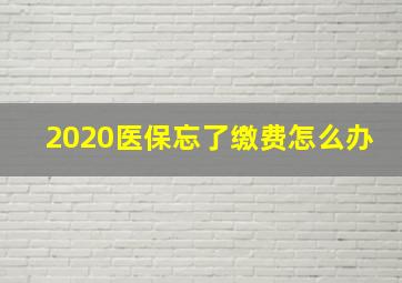 2020医保忘了缴费怎么办