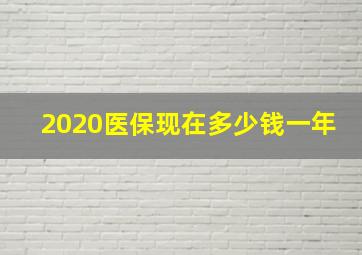 2020医保现在多少钱一年