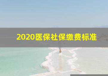 2020医保社保缴费标准