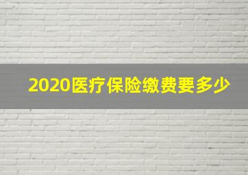 2020医疗保险缴费要多少