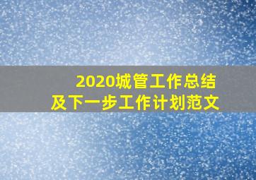 2020城管工作总结及下一步工作计划范文