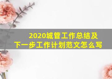 2020城管工作总结及下一步工作计划范文怎么写