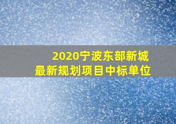 2020宁波东部新城最新规划项目中标单位