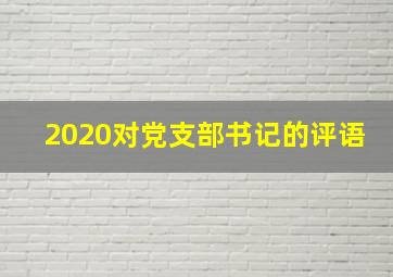 2020对党支部书记的评语