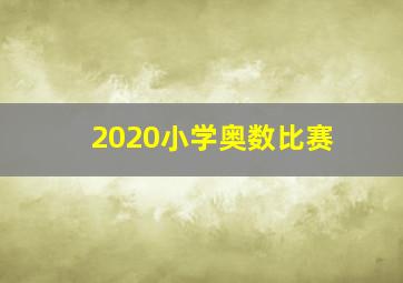 2020小学奥数比赛