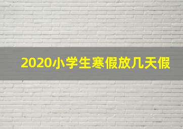 2020小学生寒假放几天假