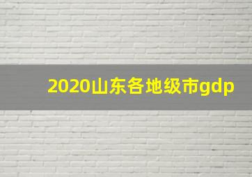 2020山东各地级市gdp