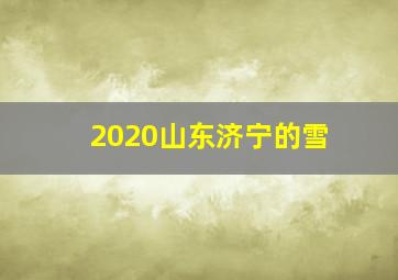 2020山东济宁的雪