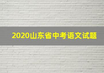 2020山东省中考语文试题