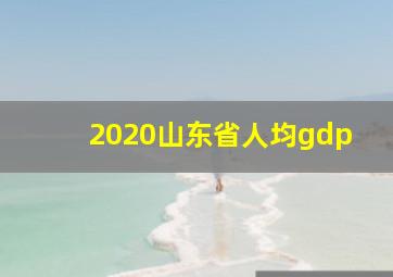 2020山东省人均gdp