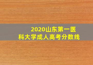 2020山东第一医科大学成人高考分数线