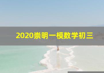 2020崇明一模数学初三