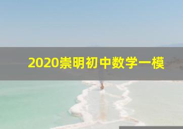 2020崇明初中数学一模