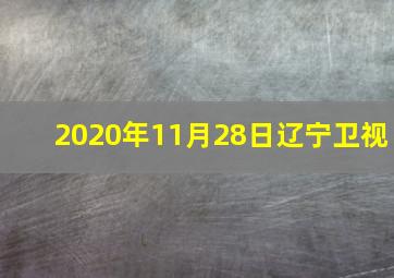 2020年11月28日辽宁卫视