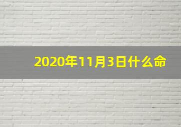 2020年11月3日什么命