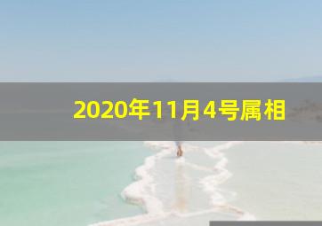 2020年11月4号属相