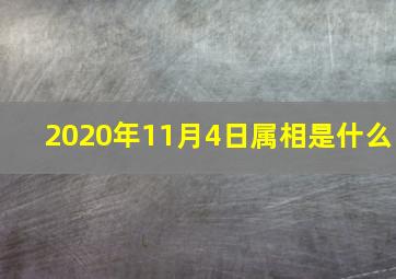 2020年11月4日属相是什么