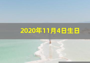 2020年11月4日生日