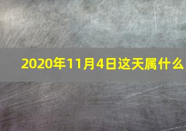 2020年11月4日这天属什么