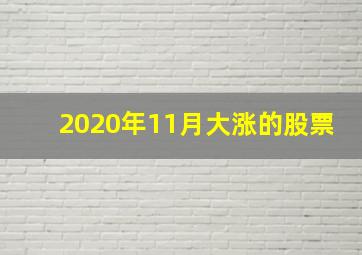 2020年11月大涨的股票