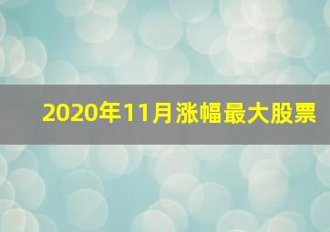 2020年11月涨幅最大股票