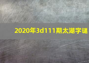 2020年3d111期太湖字谜