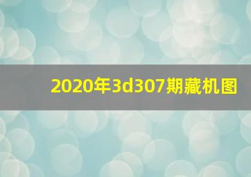 2020年3d307期藏机图