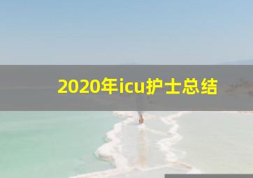 2020年icu护士总结