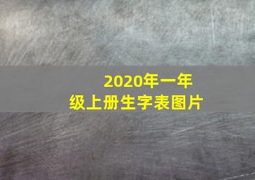 2020年一年级上册生字表图片