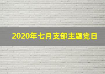 2020年七月支部主题党日