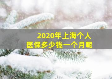 2020年上海个人医保多少钱一个月呢