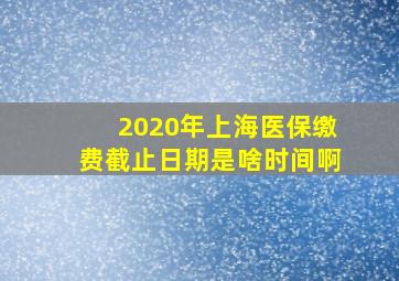 2020年上海医保缴费截止日期是啥时间啊