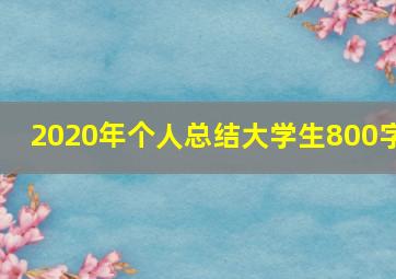 2020年个人总结大学生800字