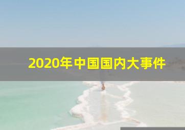 2020年中国国内大事件