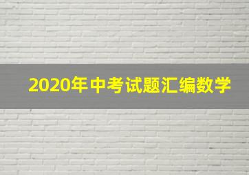 2020年中考试题汇编数学