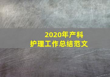 2020年产科护理工作总结范文