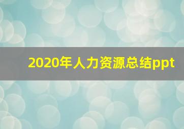 2020年人力资源总结ppt