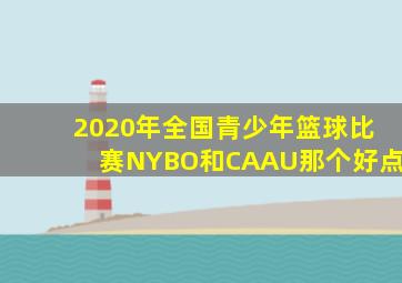 2020年全国青少年篮球比赛NYBO和CAAU那个好点