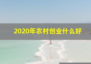 2020年农村创业什么好