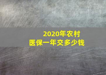 2020年农村医保一年交多少钱