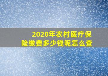 2020年农村医疗保险缴费多少钱呢怎么查