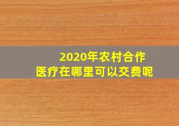 2020年农村合作医疗在哪里可以交费呢