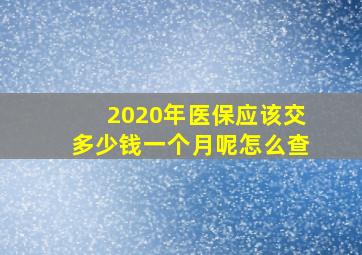 2020年医保应该交多少钱一个月呢怎么查